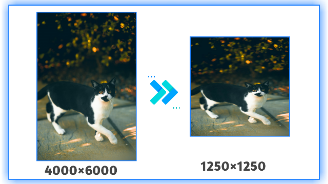 Image Height And Width Changer In PX, CM, IN, MM Online Free 2025 1 Image Height And Width Changer In PX, CM, IN, MM Online Free 2025